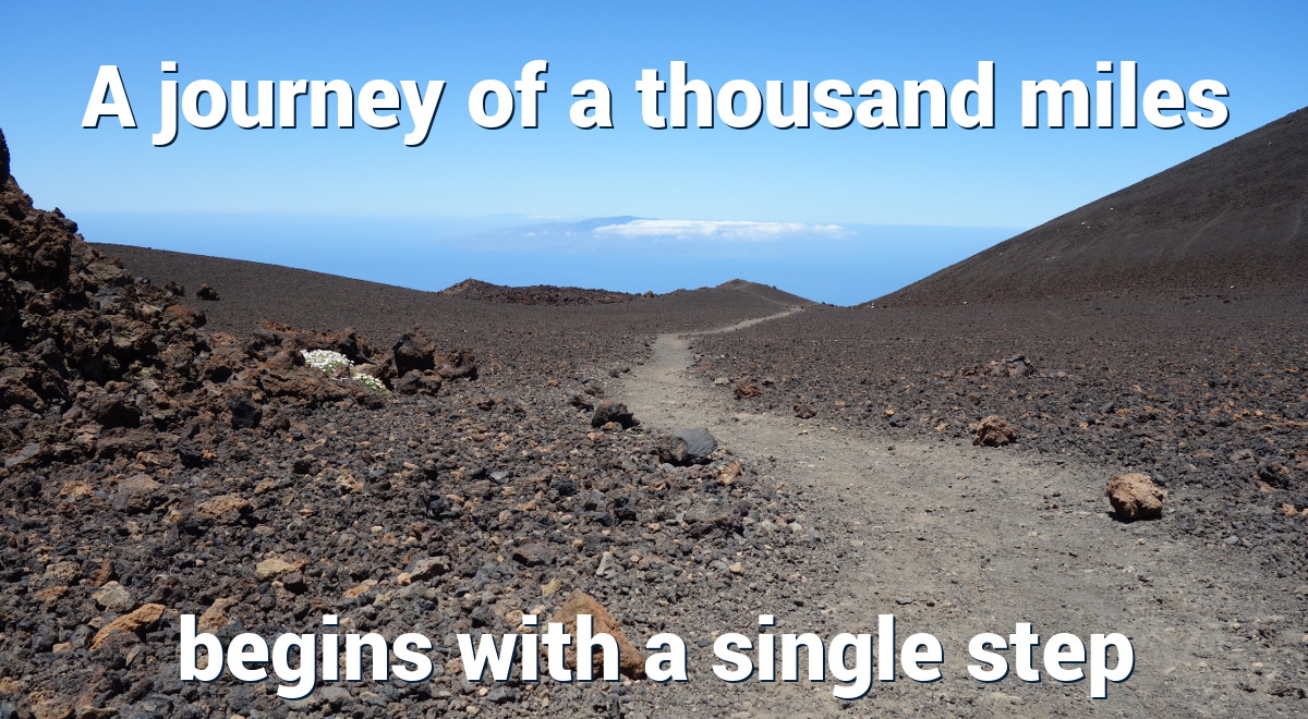 A journey of a thousand miles begins with a single step - Lao Tzu
