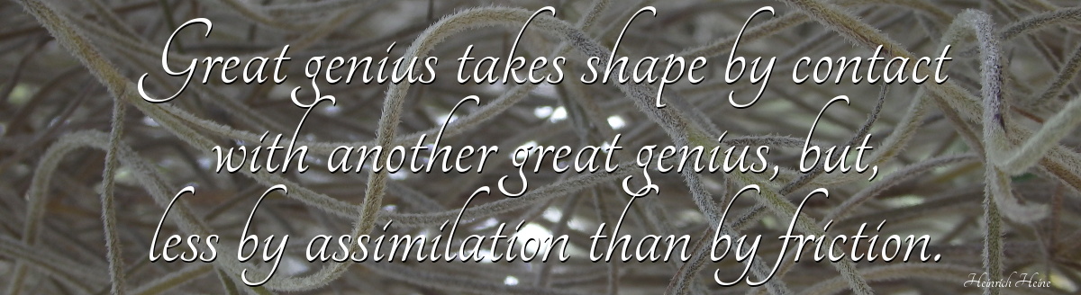 Great genius takes shape by contact with another great genius, but, less by assimilation than by friction - Heinrich Heine