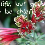 Life quote visualisation: Not life, but good life, is to be chiefly valued - Socrates