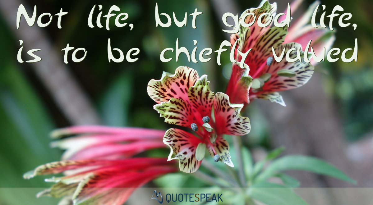 Life quote visualisation: Not life, but good life, is to be chiefly valued - Socrates