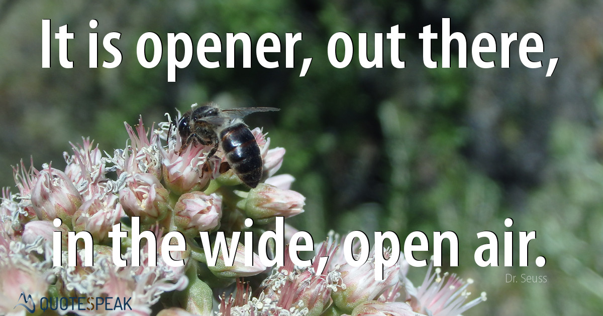 It is opener, out there, in the wide, open air – Dr Seuss