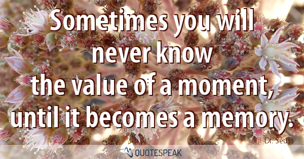 Sometimes you will never know the value of a moment, until it becomes a memory – Dr. Seuss