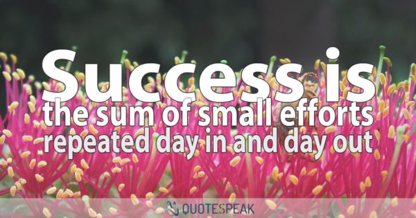Success Is The Sum of Small Efforts Repeated Day in and Day Out