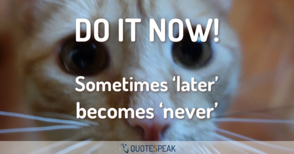 Time Quote: Do it now - Sometimes later becomes never