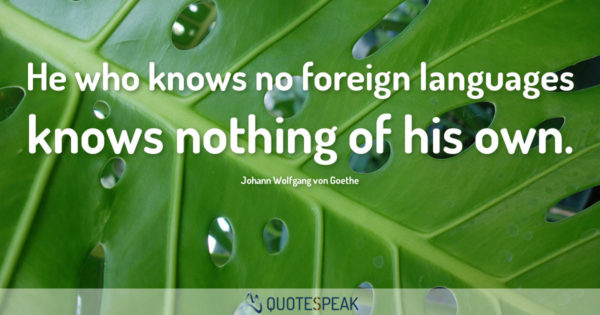 Language Quote: He who knows no foreign languages knows nothing of his own - Johann Wolfgang von Goethe